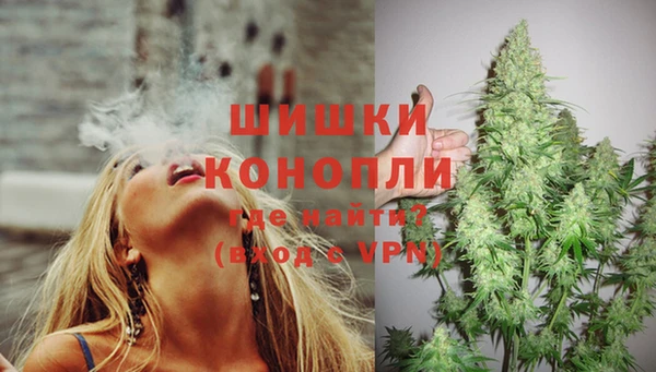 прущие крисы Надым